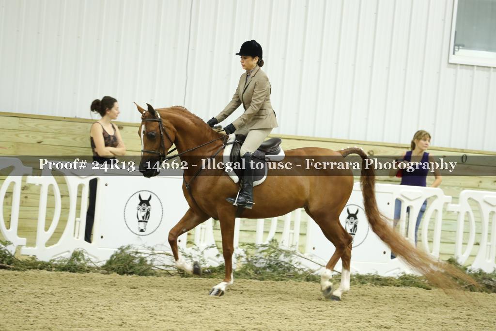 Proof 24R13_14662