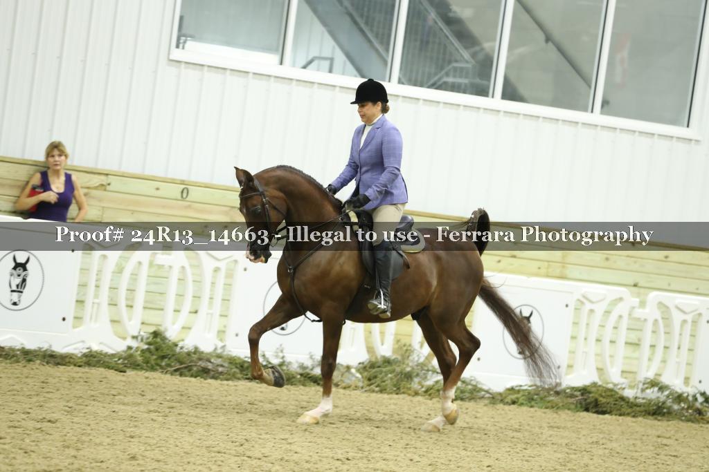 Proof 24R13_14663