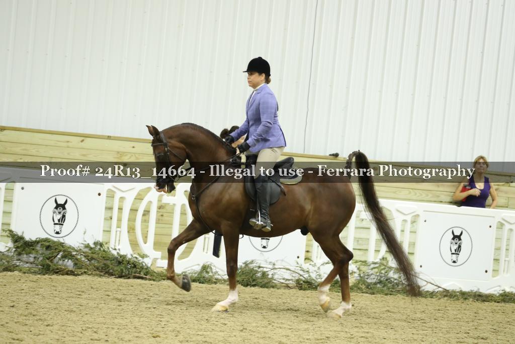 Proof 24R13_14664