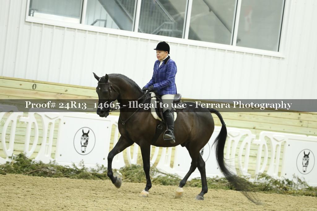 Proof 24R13_14665