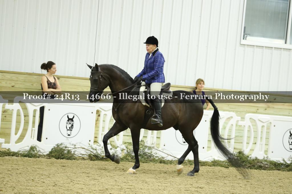 Proof 24R13_14666
