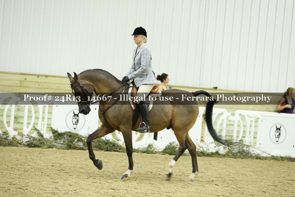 Proof 24R13_14667