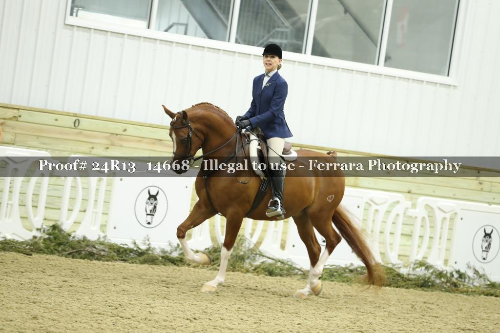 Proof 24R13_14668