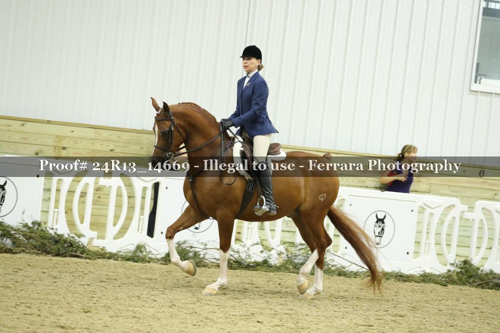 Proof 24R13_14669