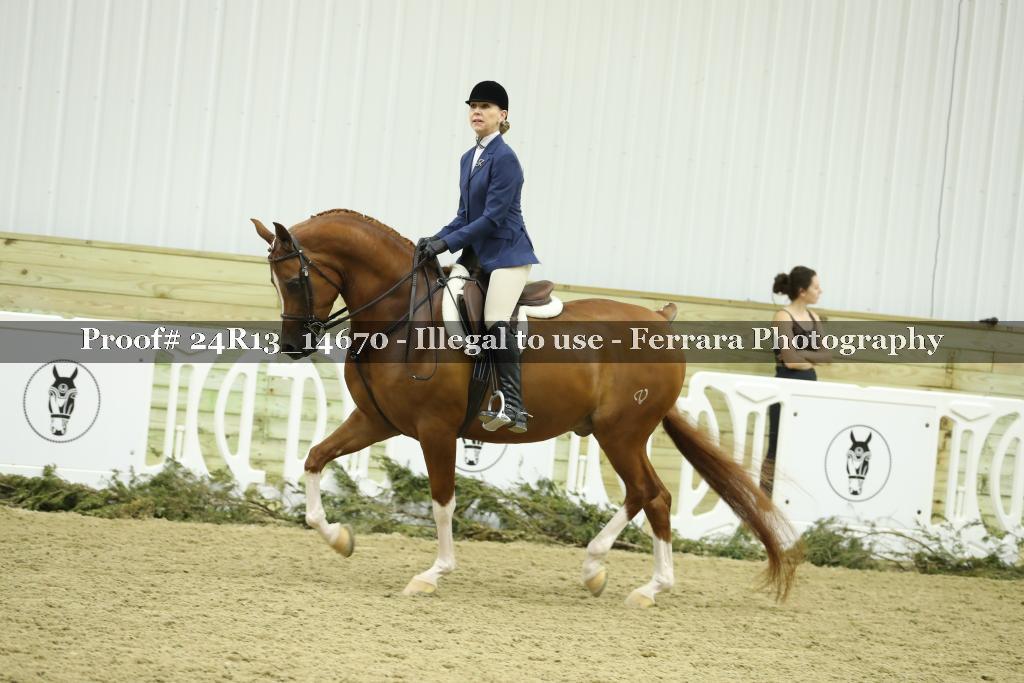 Proof 24R13_14670