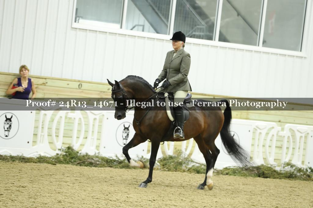 Proof 24R13_14671