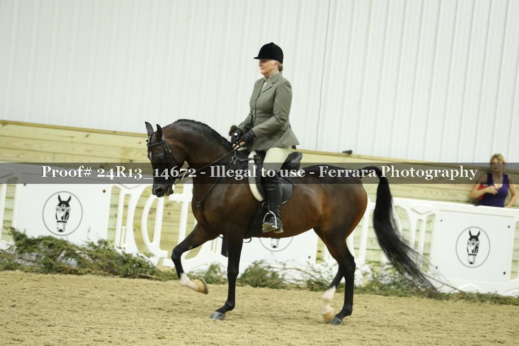 Proof 24R13_14672