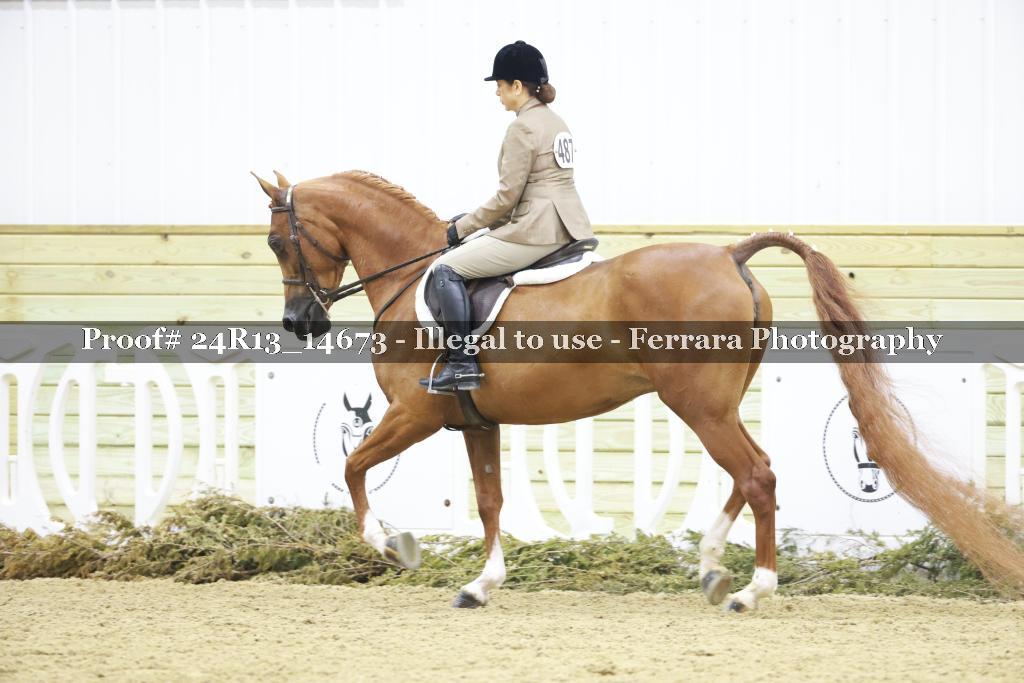 Proof 24R13_14673