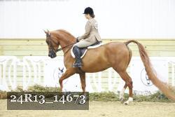 24R13_14673 proof
