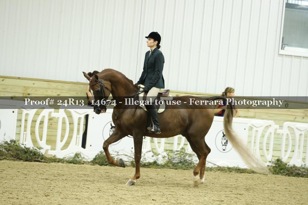 Proof 24R13_14674