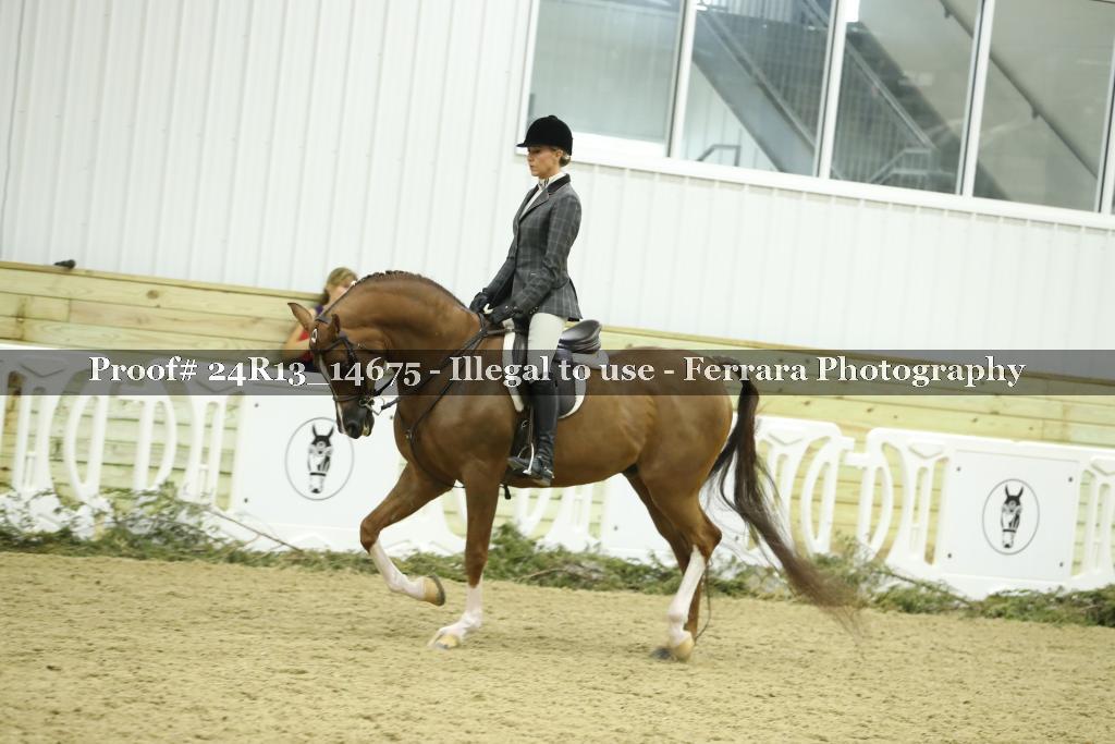 Proof 24R13_14675