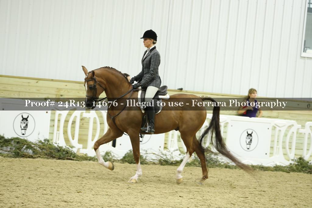 Proof 24R13_14676