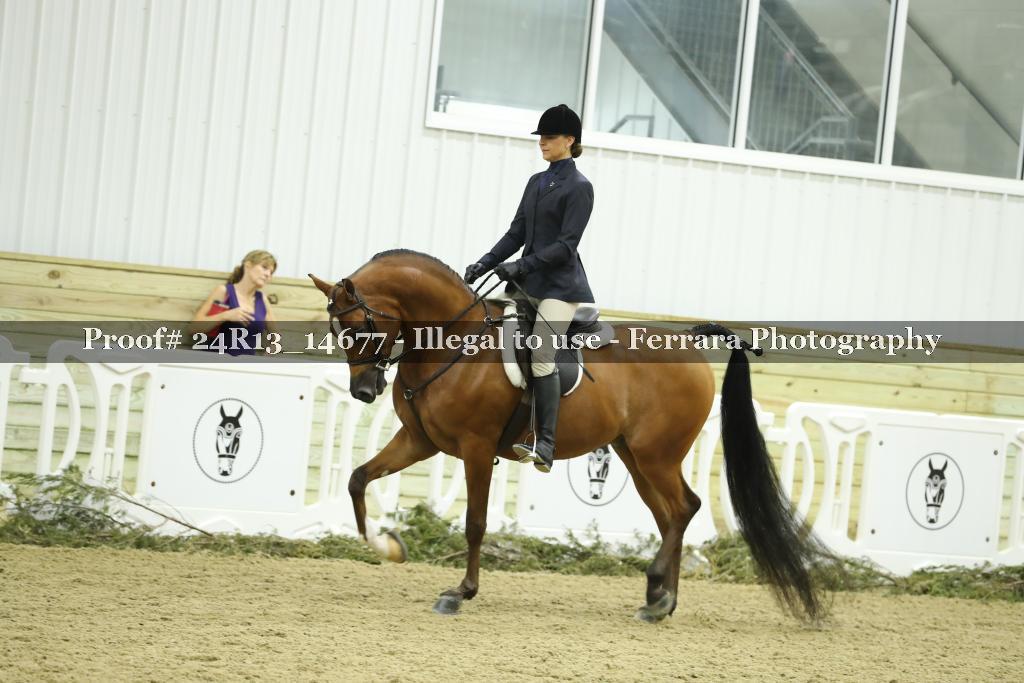 Proof 24R13_14677