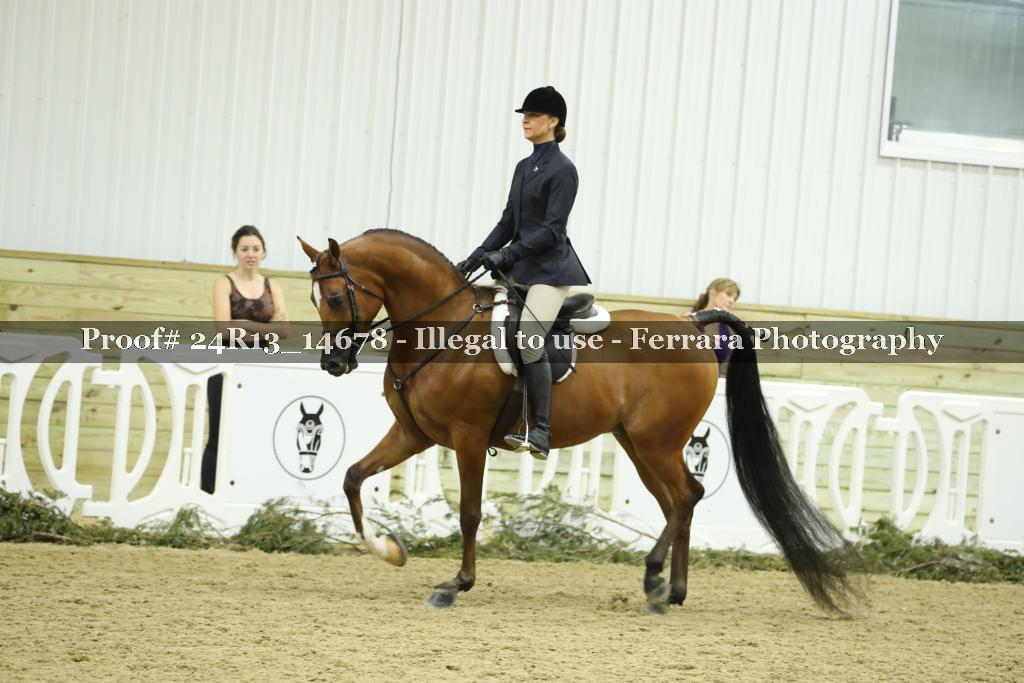 Proof 24R13_14678