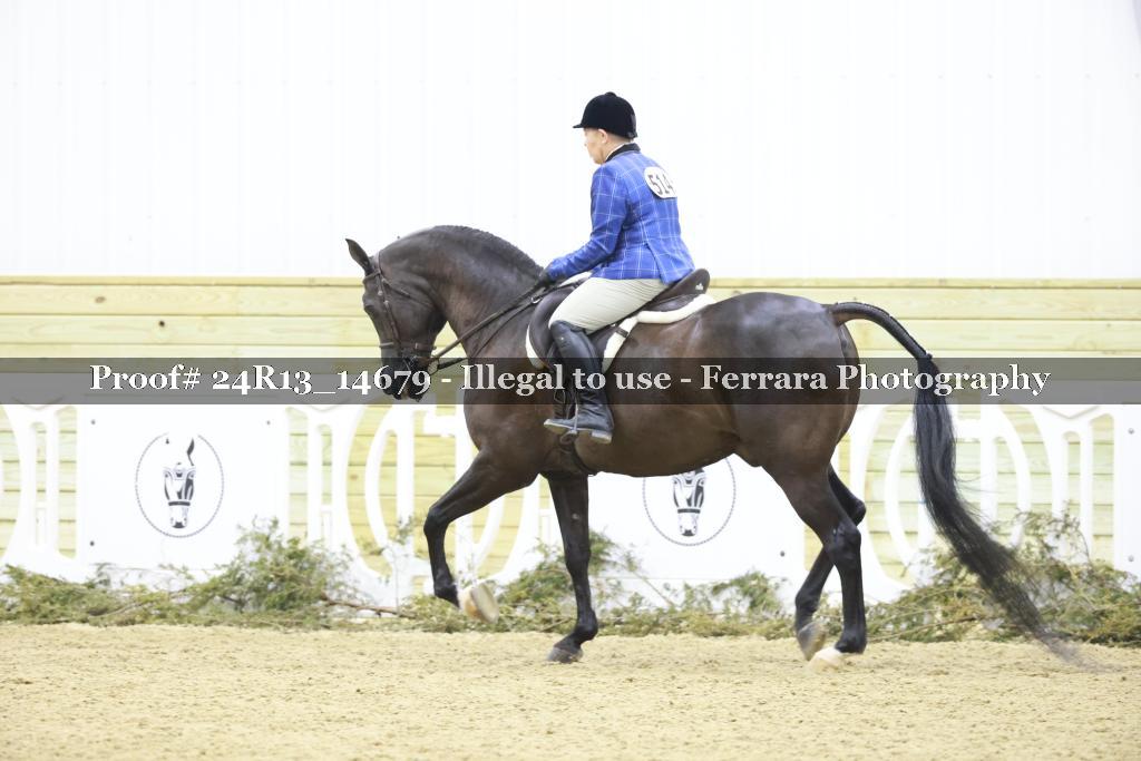 Proof 24R13_14679