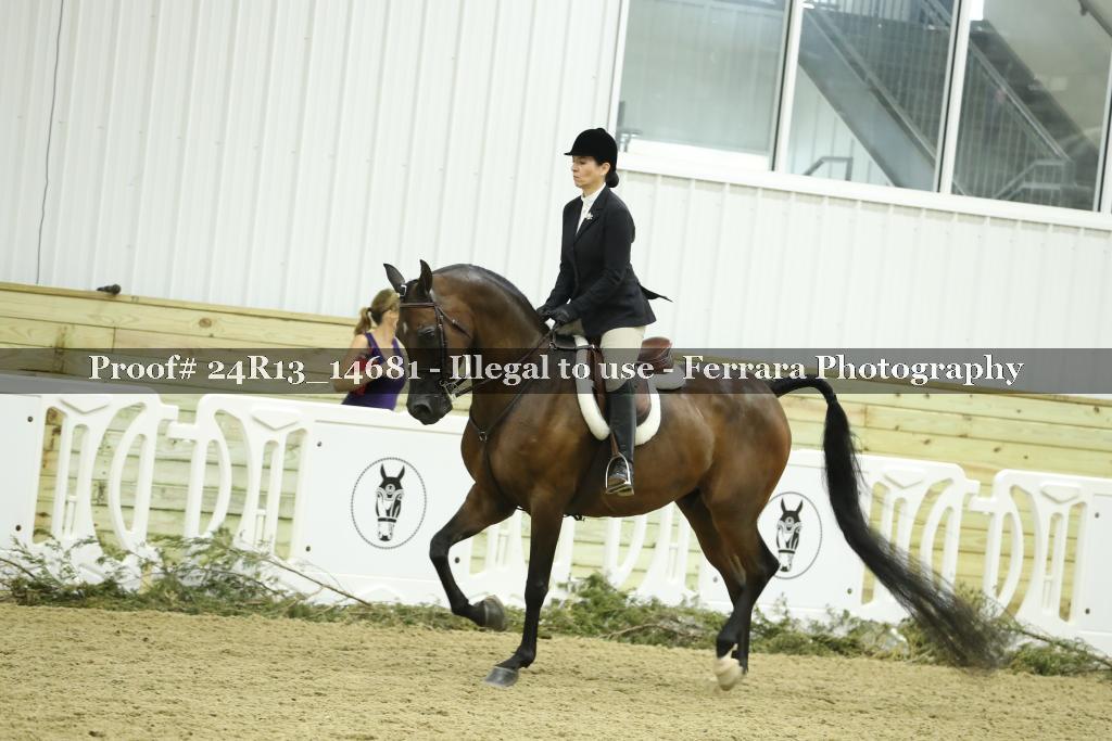 Proof 24R13_14681