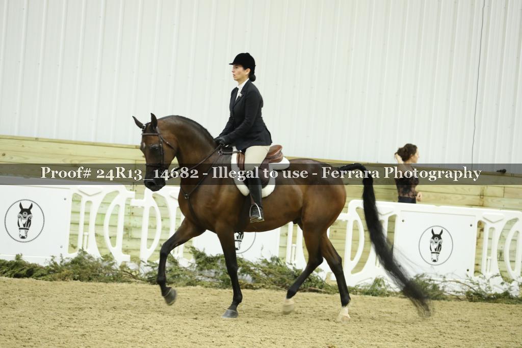 Proof 24R13_14682