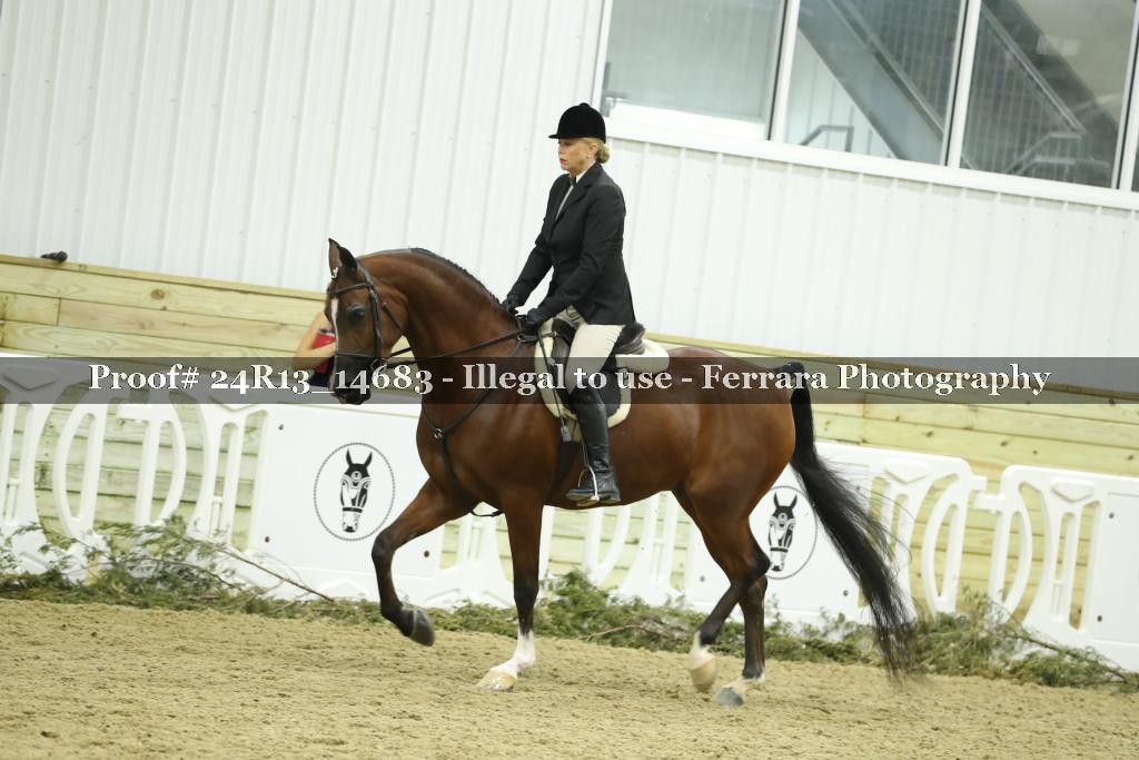 Proof 24R13_14683