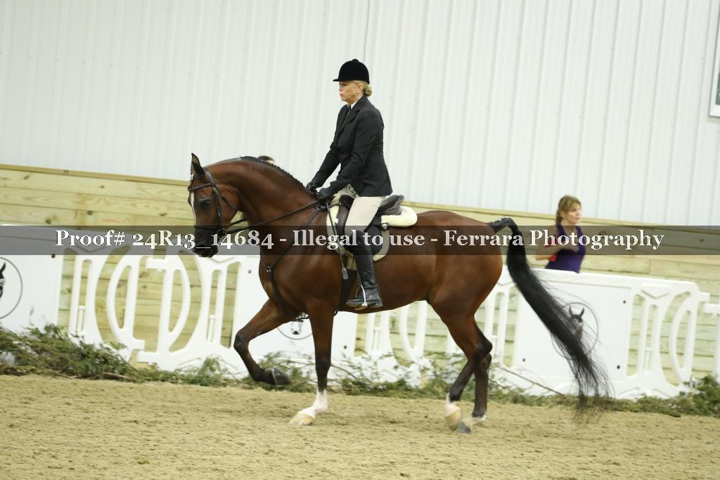 Proof 24R13_14684