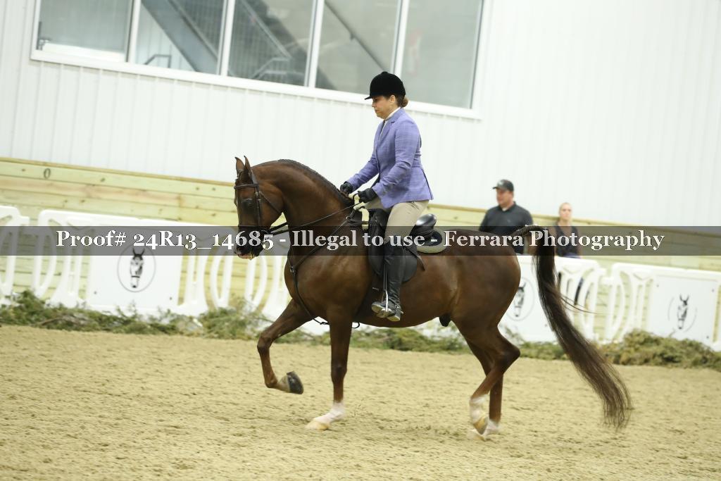 Proof 24R13_14685