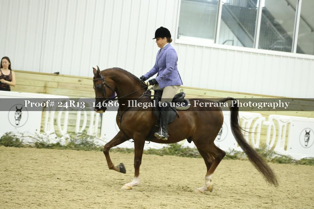 Proof 24R13_14686