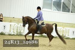 24R13_14686 proof