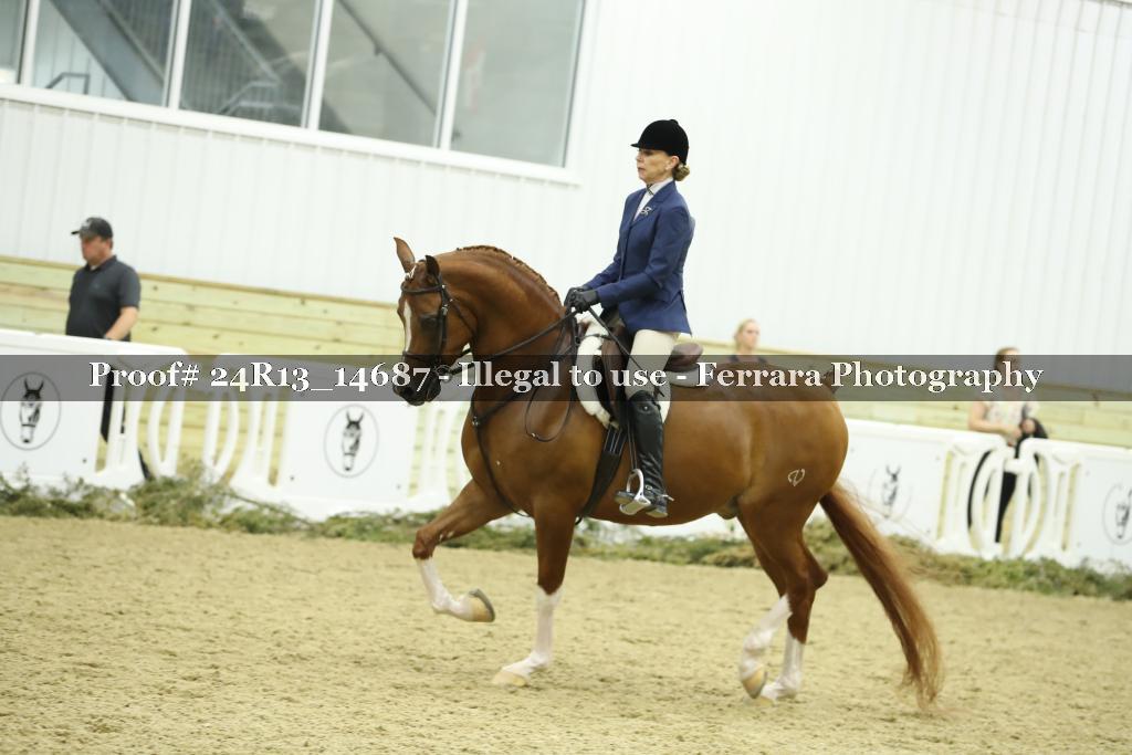 Proof 24R13_14687