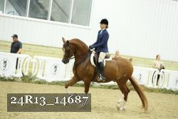 24R13_14687 proof