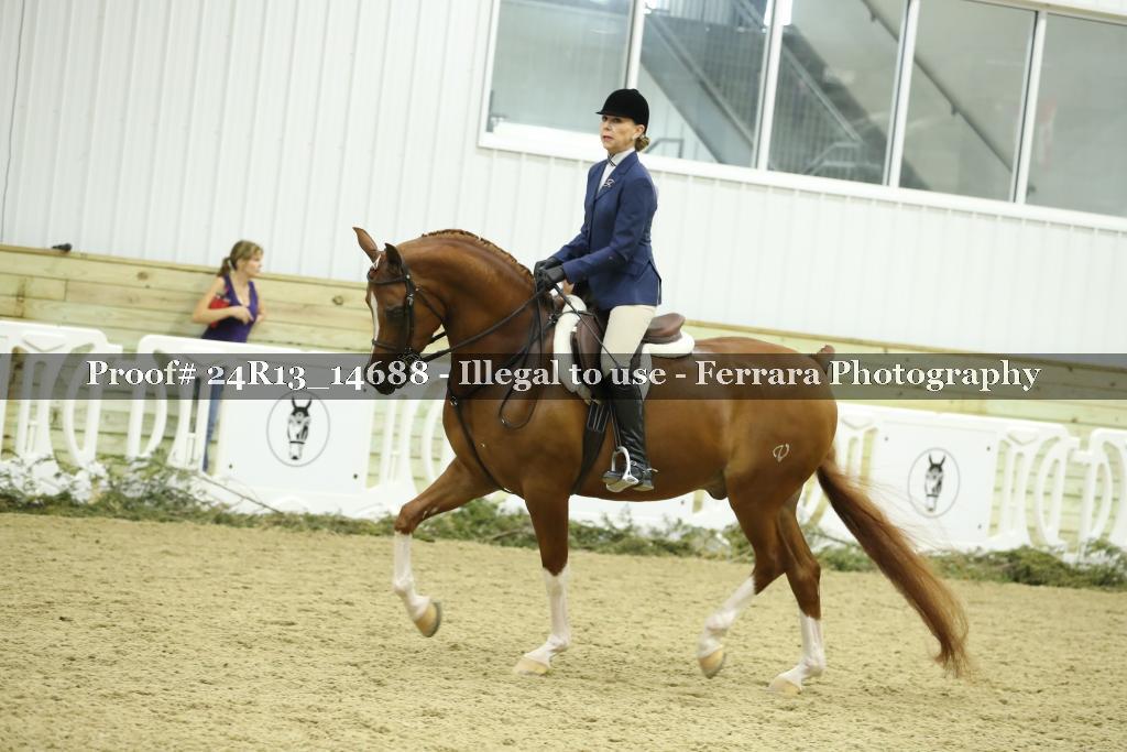 Proof 24R13_14688