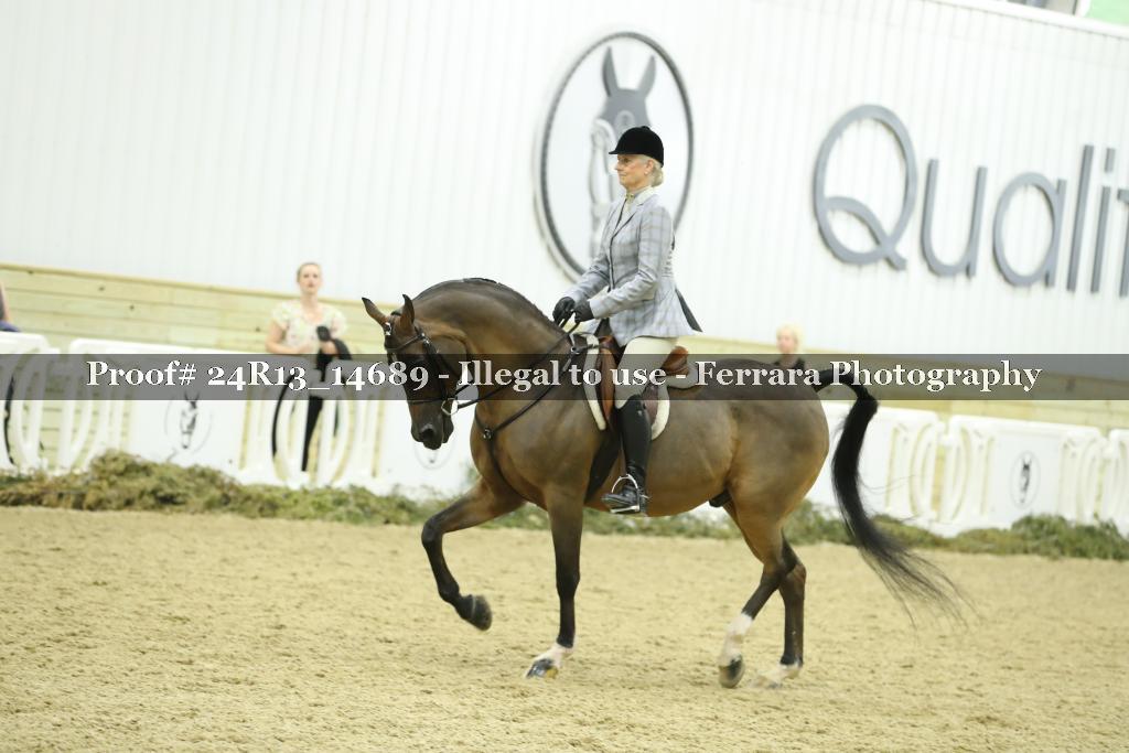 Proof 24R13_14689