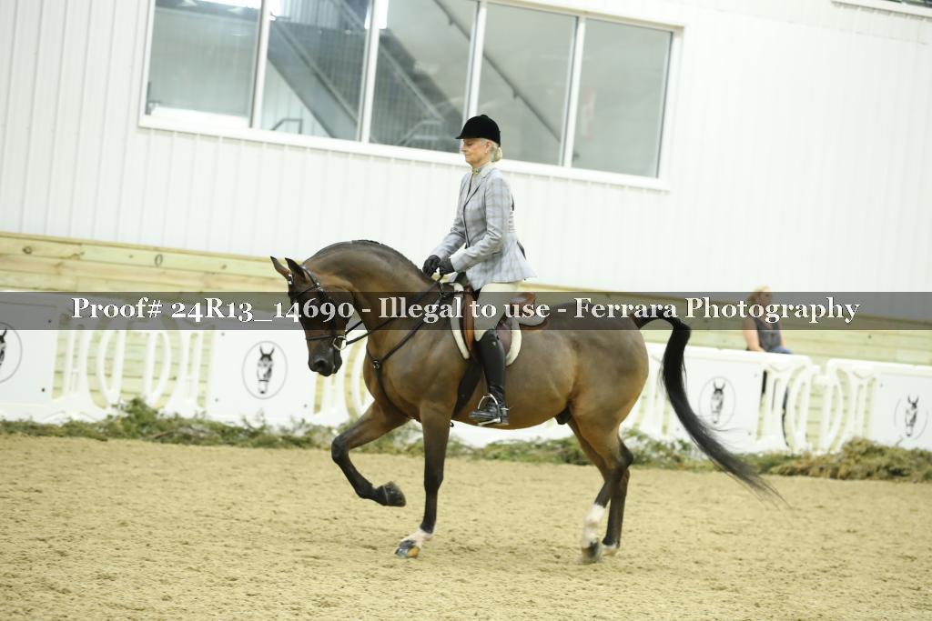 Proof 24R13_14690