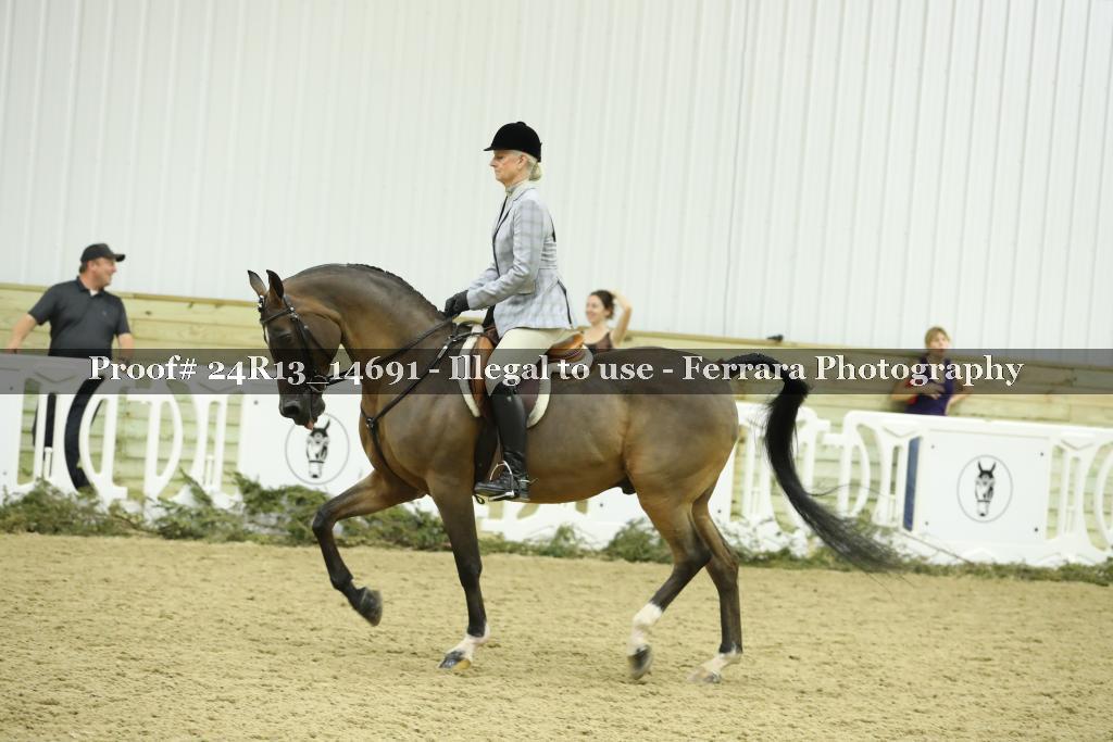 Proof 24R13_14691