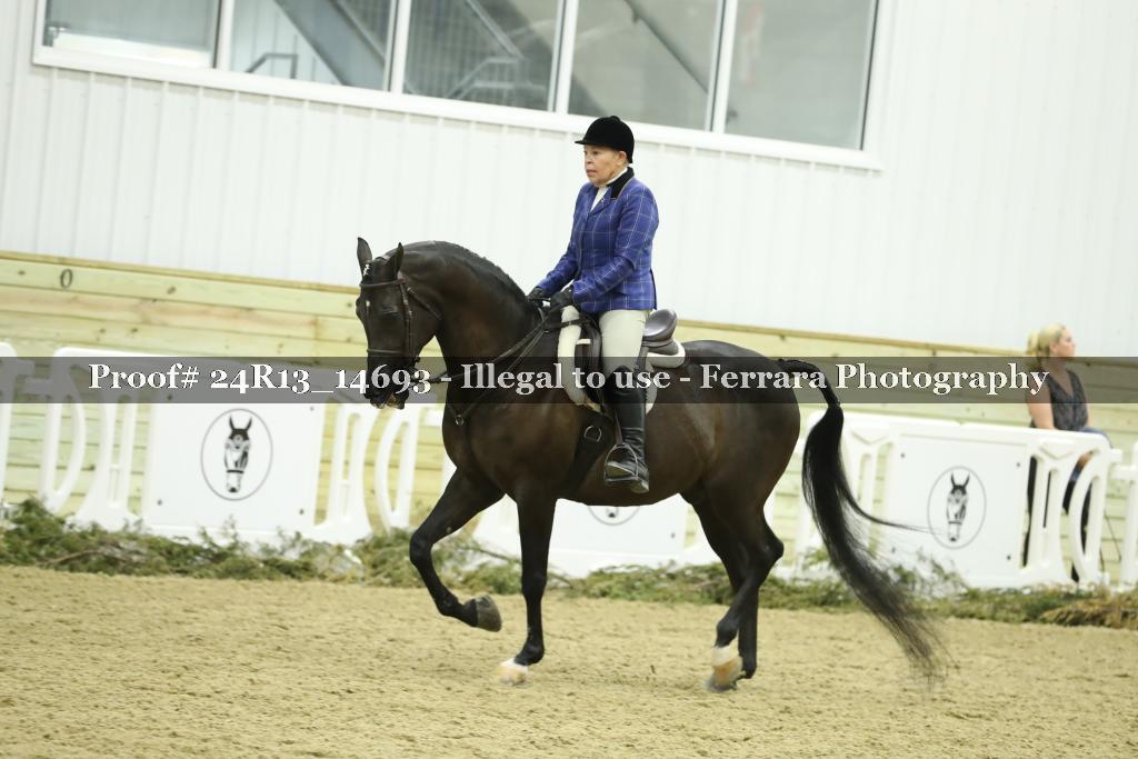 Proof 24R13_14693