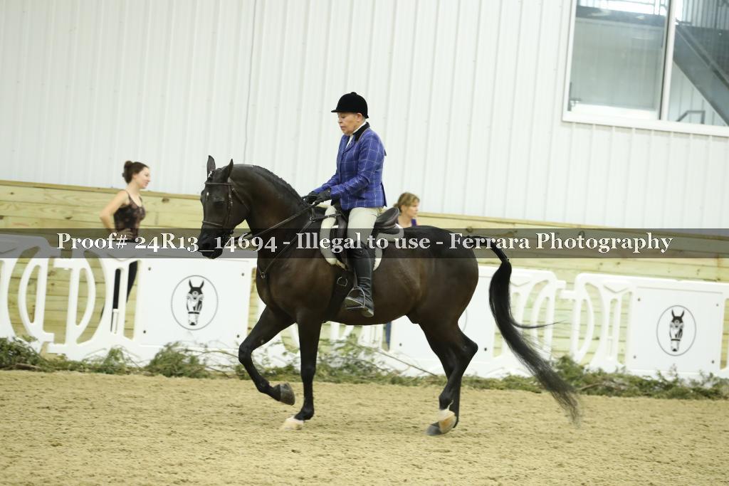 Proof 24R13_14694