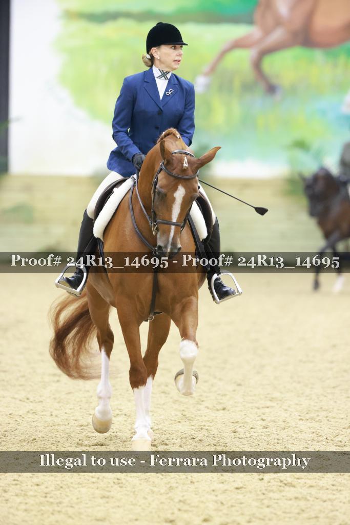 Proof 24R13_14695