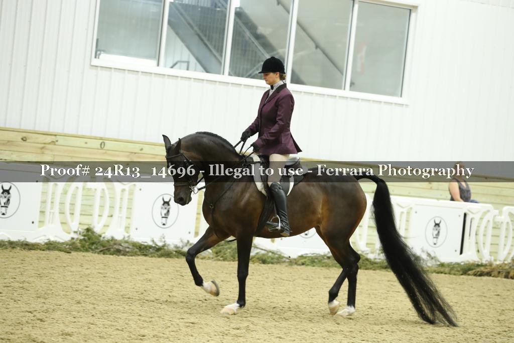 Proof 24R13_14696