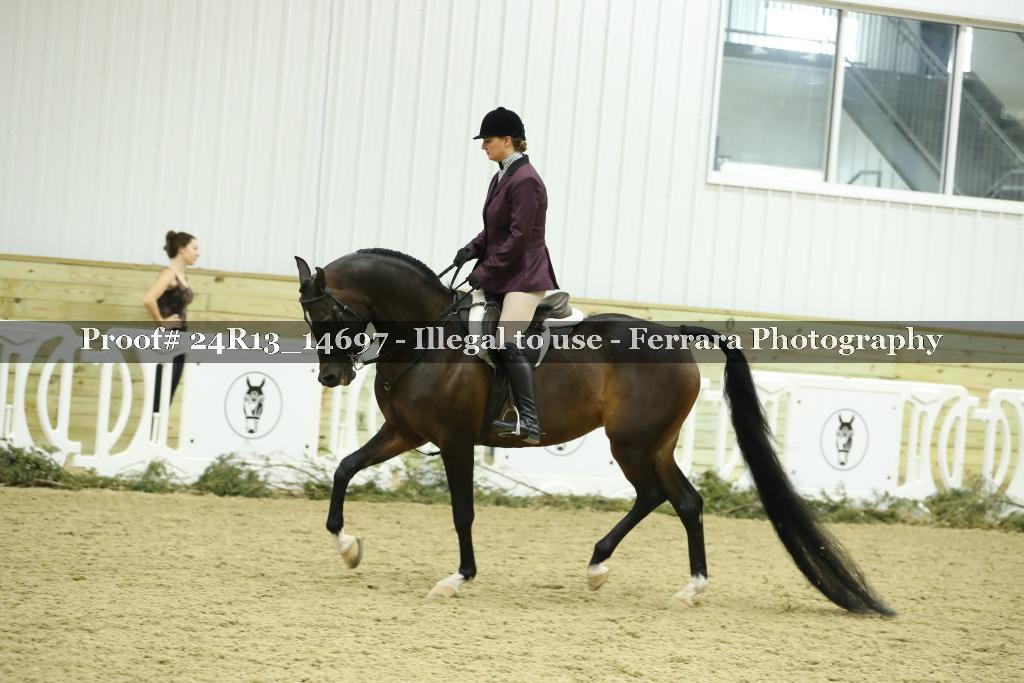 Proof 24R13_14697