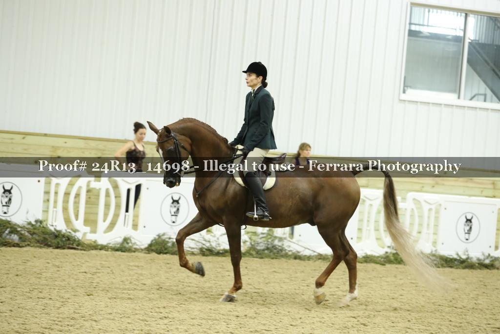 Proof 24R13_14698