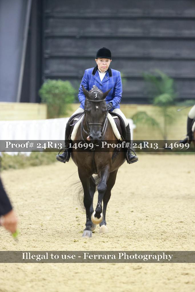 Proof 24R13_14699