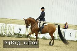 24R13_14701 proof