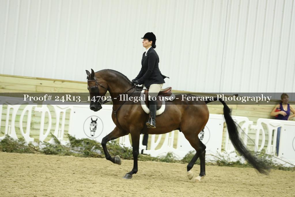 Proof 24R13_14702