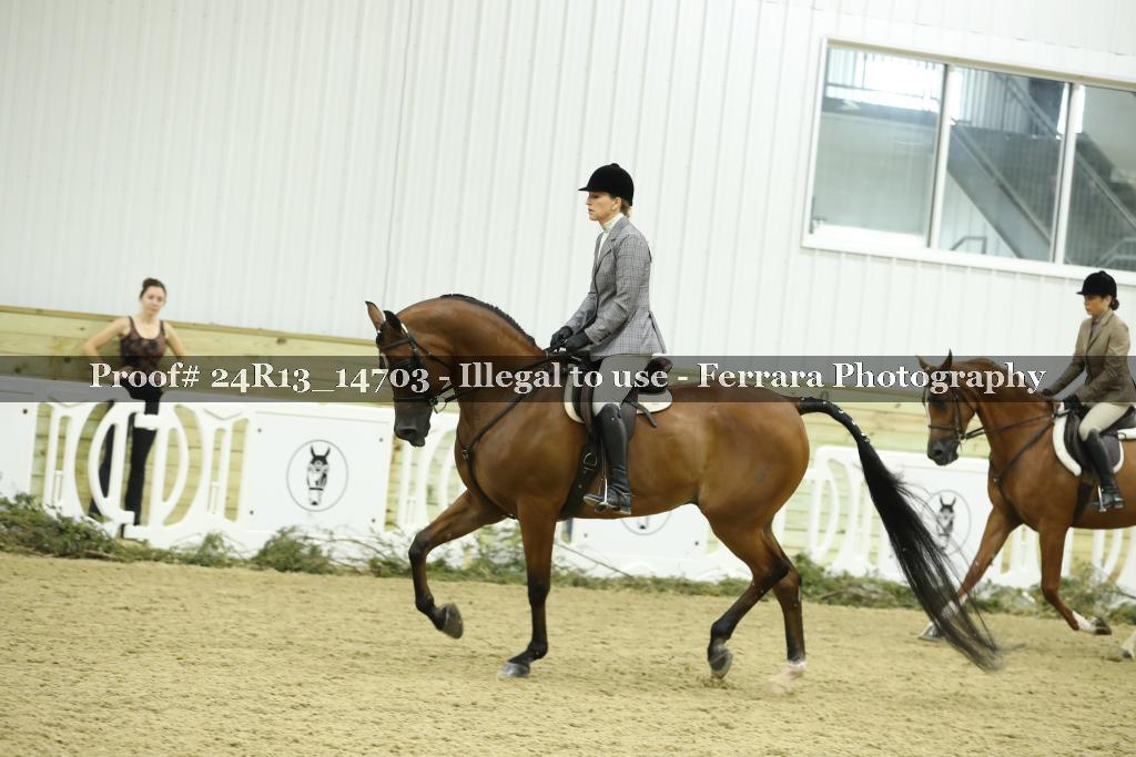 Proof 24R13_14703