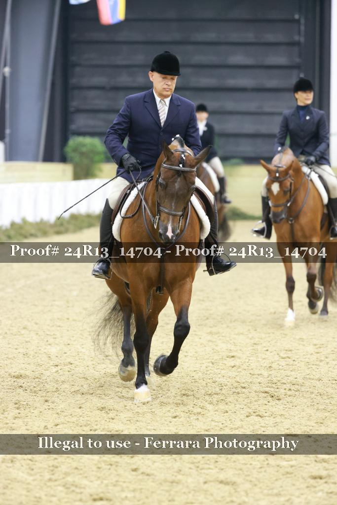 Proof 24R13_14704