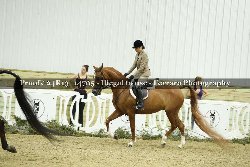 Proof 24R13_14705