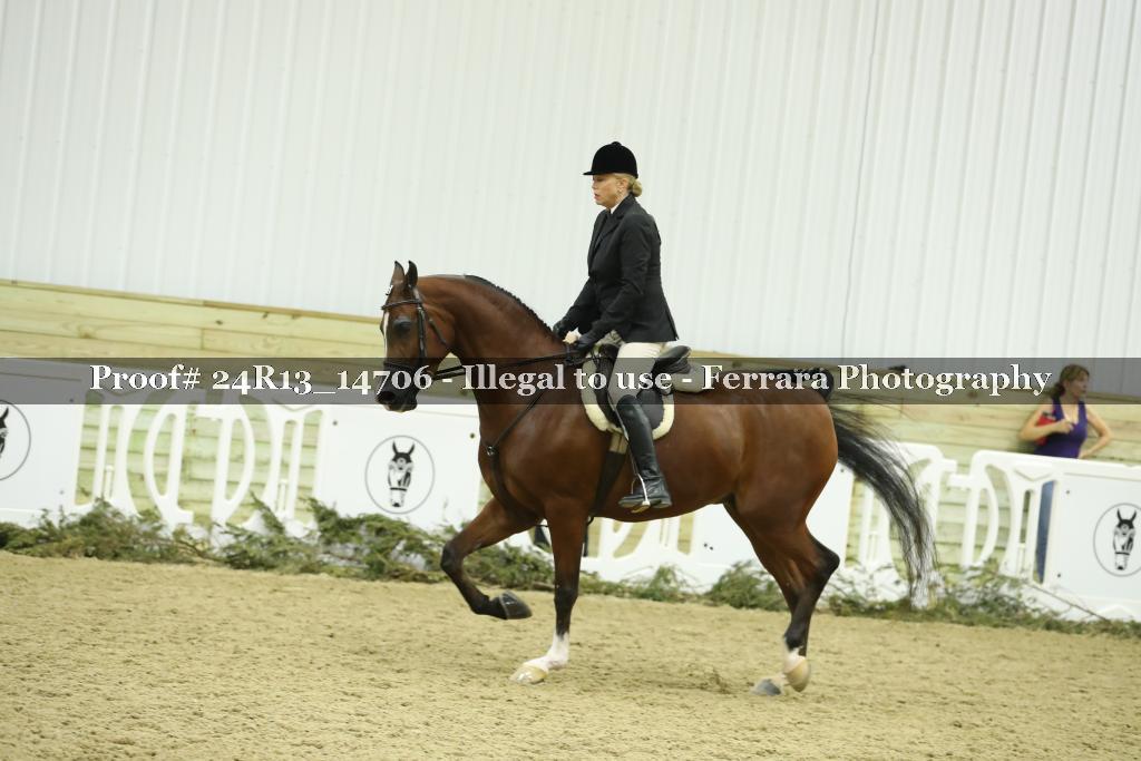 Proof 24R13_14706