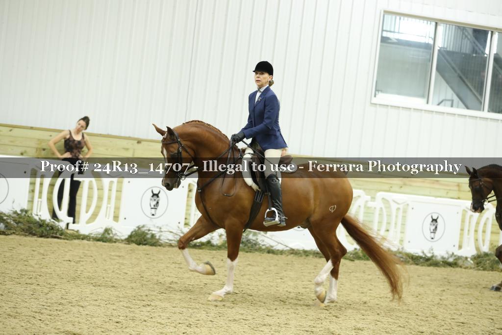 Proof 24R13_14707