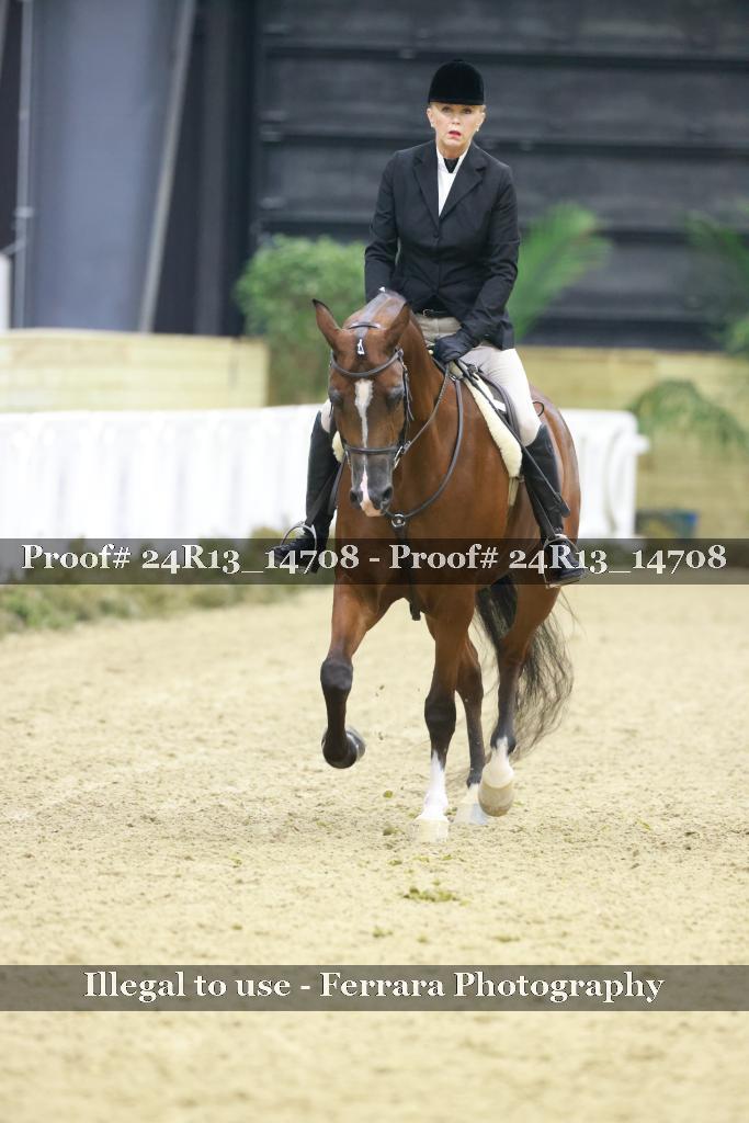 Proof 24R13_14708