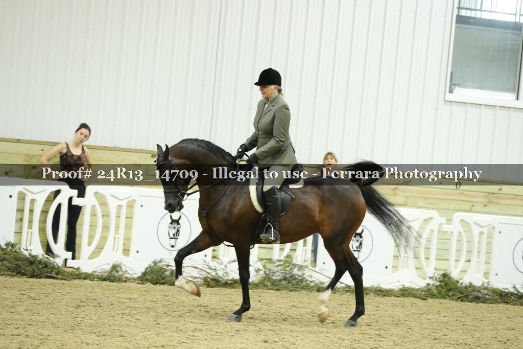 Proof 24R13_14709
