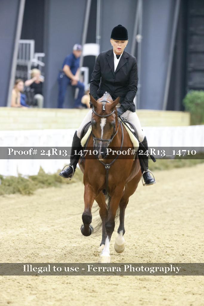 Proof 24R13_14710