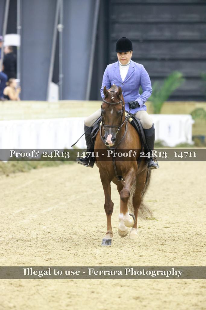 Proof 24R13_14711
